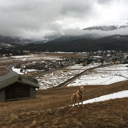 Sportlerzimmer&apartments * Celerina/Schlarigna