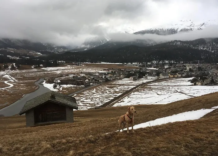 Sportlerzimmer & * Celerina/Schlarigna